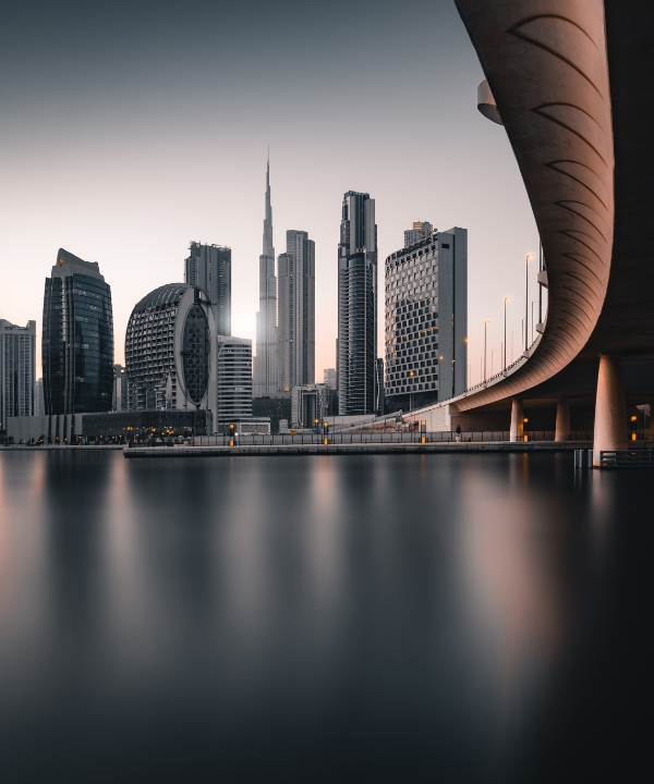 Vetron International Holding