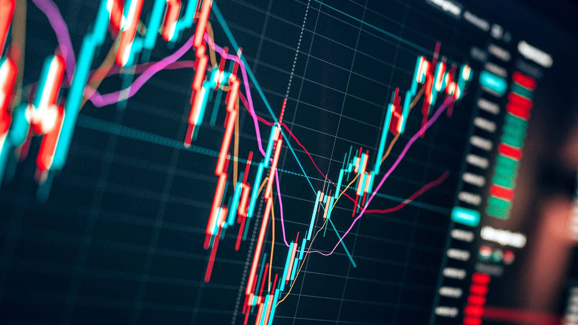 Investment & Asset Management