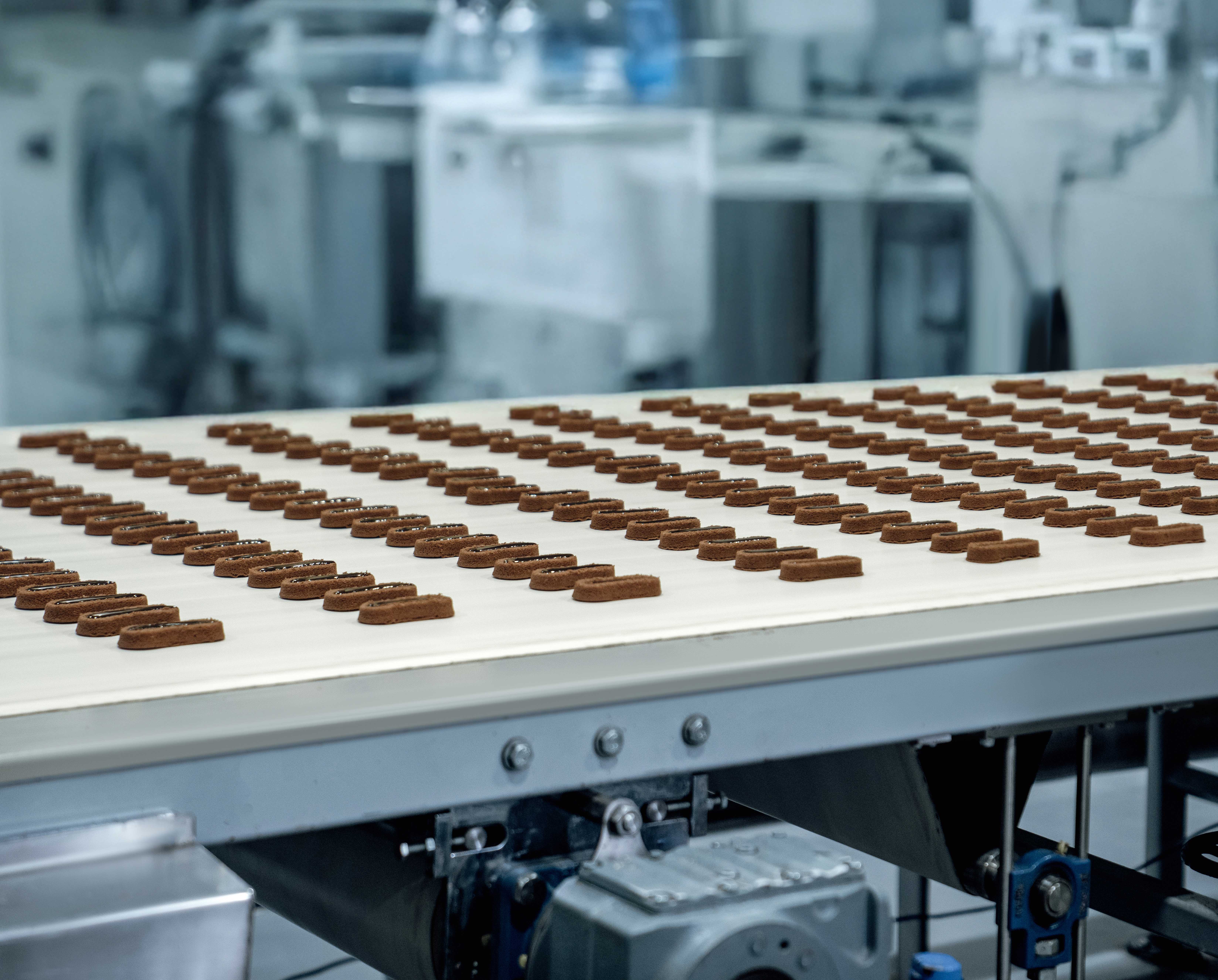 Food Production & Industrial Manufacturing
